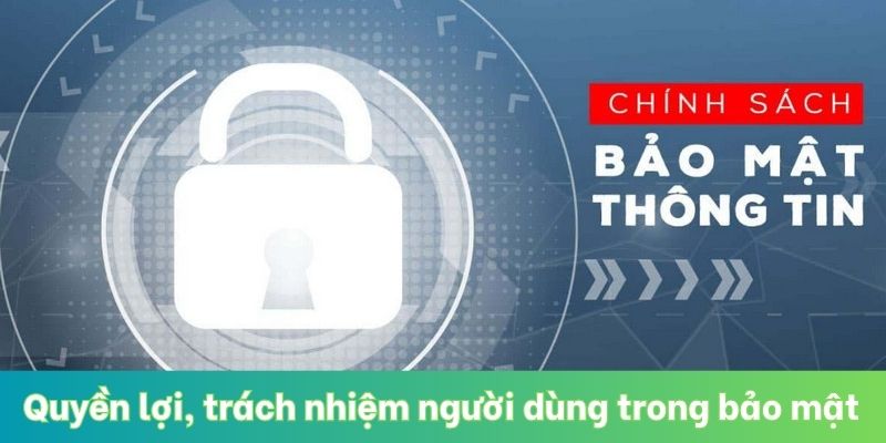 Quyền lợi, trách nhiệm người dùng trong chính sách bảo mật