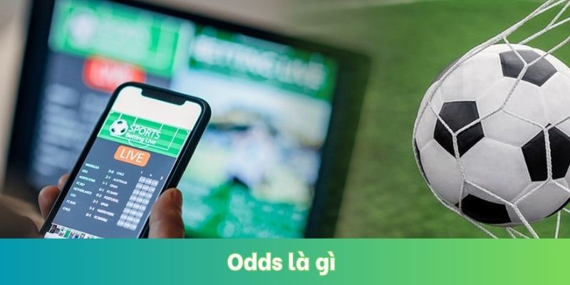 Odds Là Gì