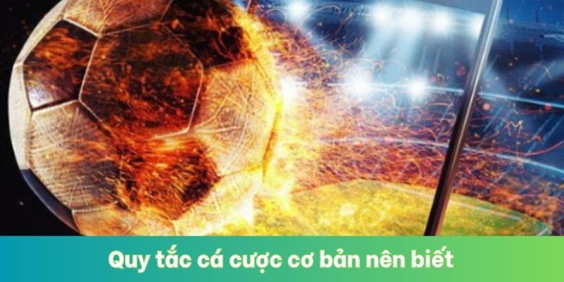 Quy tắc cá cược cơ bản nên biết