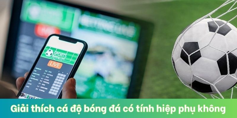 Giải thích cá độ bóng đá có tính hiệp phụ không