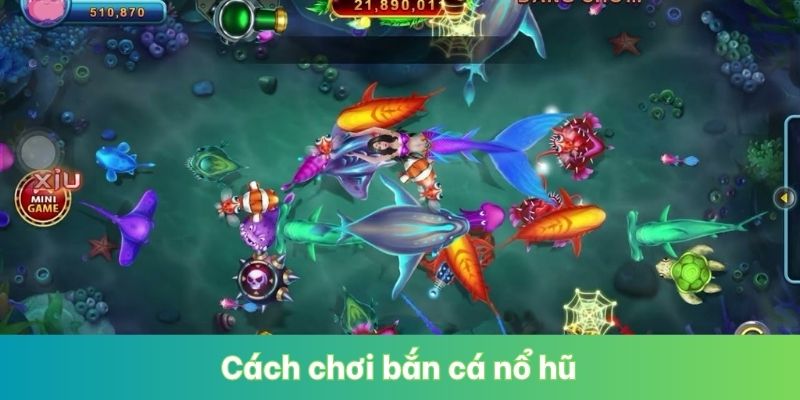 Cách Chơi Bắn Cá Nổ Hũ