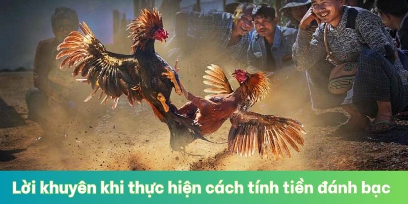 Lời khuyên khi thực hiện cách tính tiền đánh bạc trong đá gà