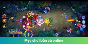 Mẹo Chơi Bắn Cá Online