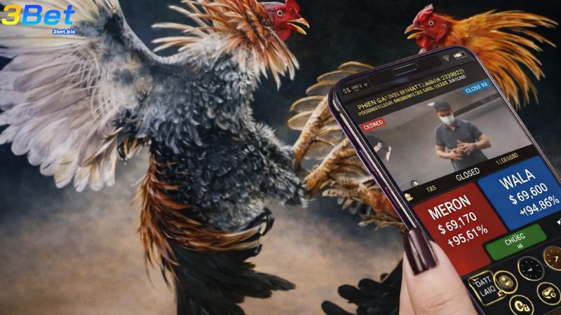 Một app có giao diện dễ sử dụng, mượt mà nâng cao sự uy tín