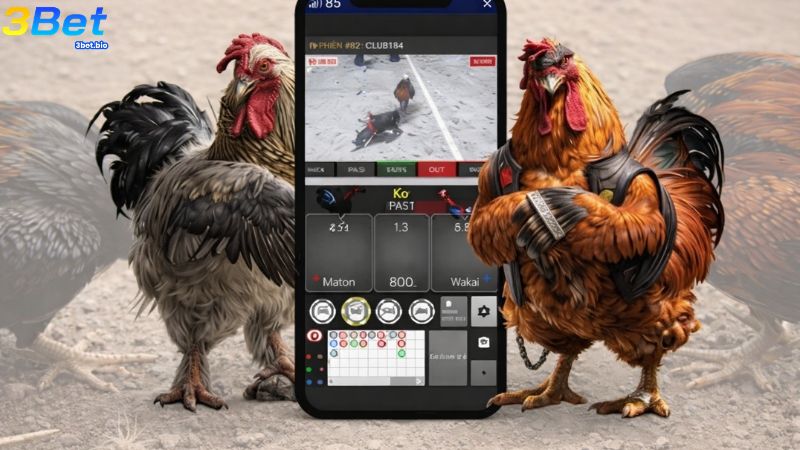 Cần nắm được những dấu hiệu để nhận biết app đá gà lừa đảo