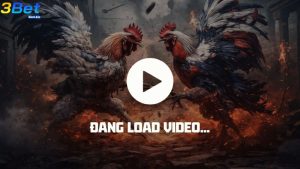 Những điều cần tránh khi tham gia cá cược đá gà online