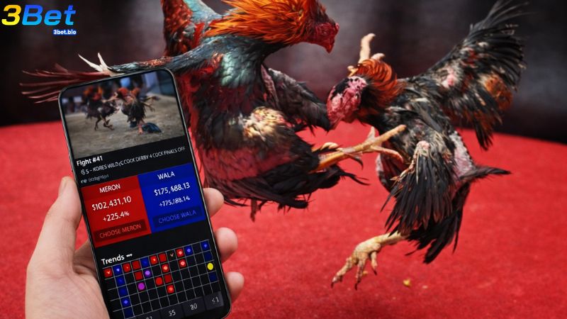 Bằng cân bằng trạng là một thuật ngữ trong game đá gà