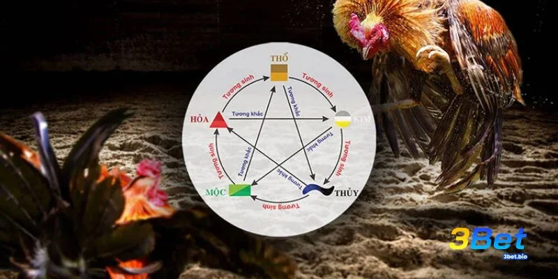 Cách Xem Màu Mạng Gà Đá Theo Ngày Chuẩn Xác Tại 3BET