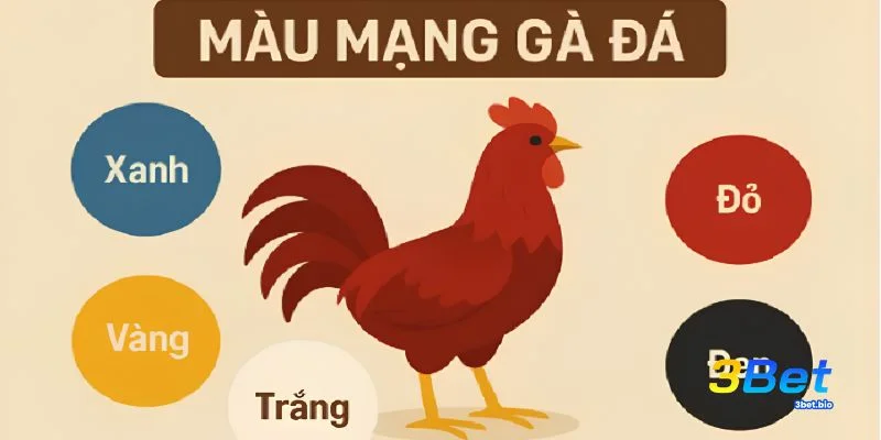 Giải thích ý nghĩa màu lông gà theo ngũ hành
