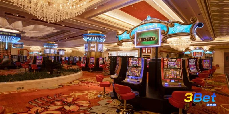 Người chơi đánh giá lợi ích và rủi ro cá cược 