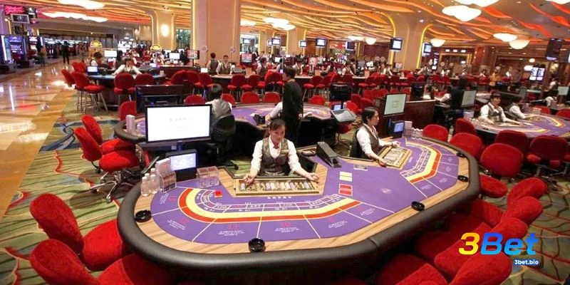 Quy định pháp lý casino Việt Nam áp dụng tại Phú Quốc 